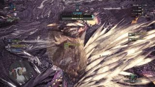 ネルギガンテをチャアクでぶっ倒す！！！