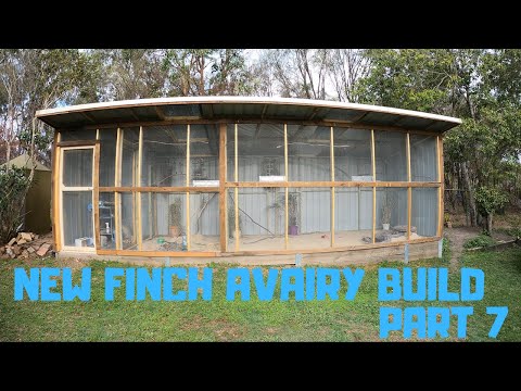 New Finch Avairy Build Part 7
