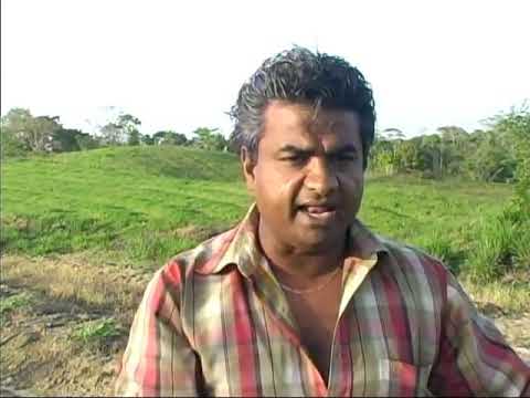 @jairamdindial659 - Rosalin (Traditional Chutney) [2014]