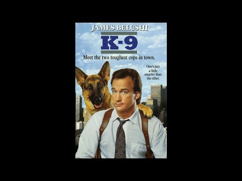 K-9 Iko Iko by Amy Holland