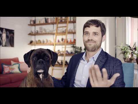 Eric voices the inner dialogue of the dog in this ad for Vince Camuto