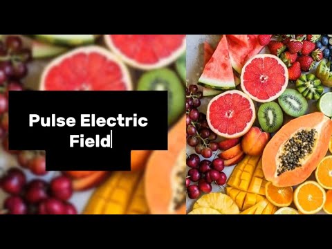 Pulsed Electric Field - PEF