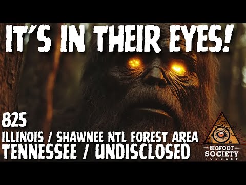 It's in Their Eyes | Bigfoot Society 825