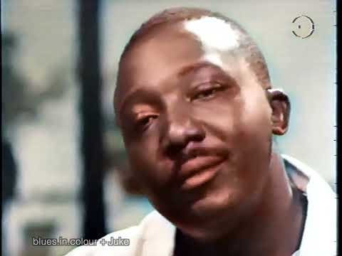 J B Lenoir - live [Colourised] 1965