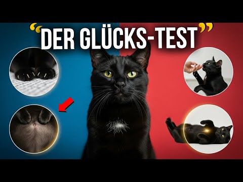 NUR GLÜCKLICHE KATZEN MACHEN DAS! Und deine? (Zeichen Nr. 8 ist der ultimative Vertrauensbeweis)