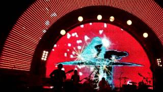 flaming lips- see the leaves