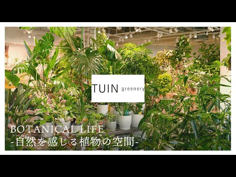 クリムリンデ 植物