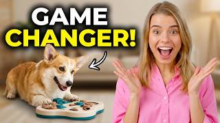 5 Secrets That Will Completely Change Your Dog’s Life