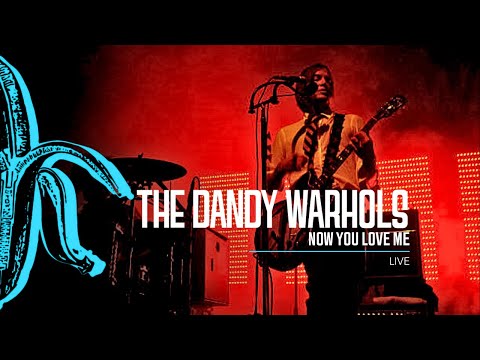 Now You Love Me - The Dandy Warhols