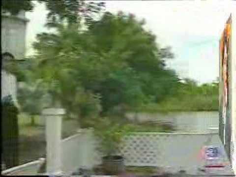 Hlub Tsis Muaj Peev Xwm