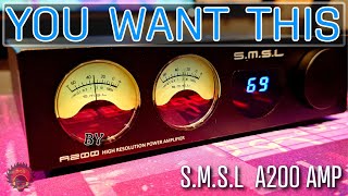 ARC Enabled Speaker Amp \\ SMSL A200