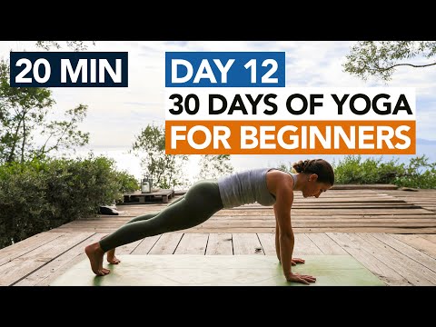20 Min Morning Yoga Routine (Day 12) 30 Days of Yoga For Beginners thumbnail