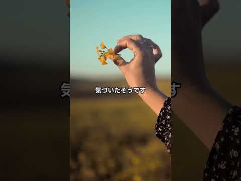 頑張りすぎていませんか？