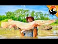 GAR WARS The Battle To Save This GIANT Fish
