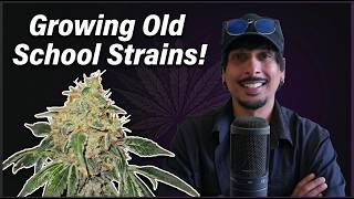 Growing 90s & 2000s Strains: Why Old School Strains Are Better