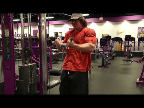 Spring Cut Day 41 - Arms