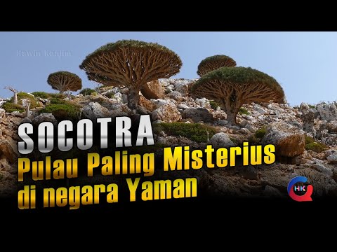 Pulau Misterius diduga Tempat Persembunyian Dajjal | Socotra