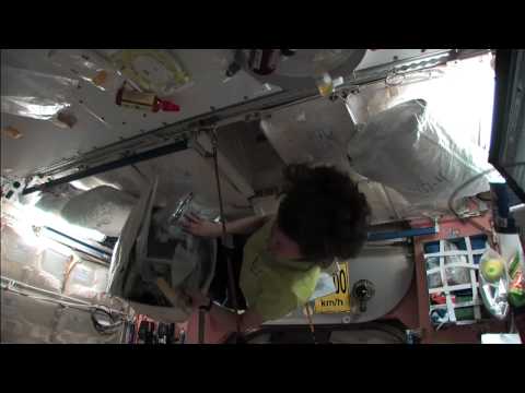 Flight Engineer Cady Coleman Gives Station Tour