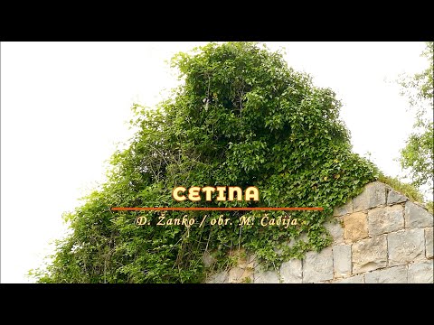 Muška klapa SINJ - Sinj / Cetina, D. Žanko; obr. M. Čačija