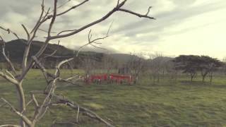 Gracias a la Vida. Chucho Avellanet & Susana Baca