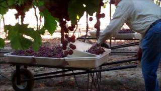 First Day of Flames at SGS