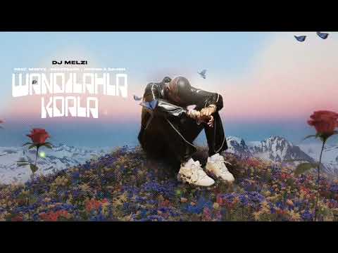 Dj Melzi - Wandilahla Kdala (Official Visualizer)