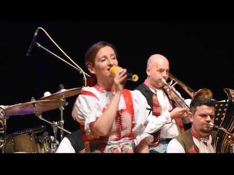 Drietomanka: Memory (z muzikálu Cats)