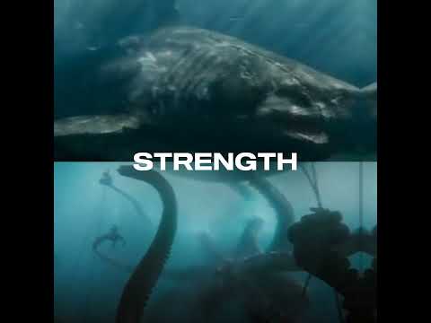 Megalodon vs kraken #shorts