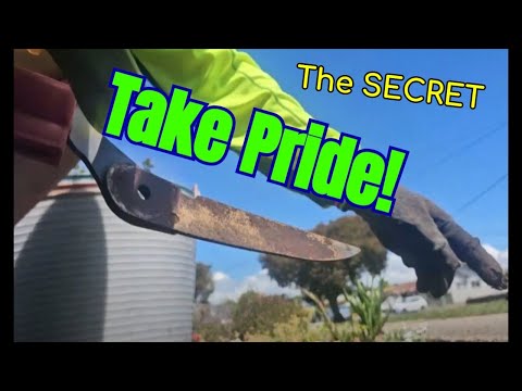 Transform Your Space: Amazing Garden Makeover Journey!