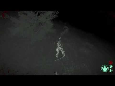 Dilo tries to Sneak up on Me - Utah vs. Dilo - The Isle Gameplay