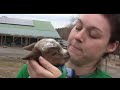 My Baby (Steve Martin & Edie Brickell)