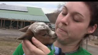 My Baby (Steve Martin &amp; Edie Brickell)