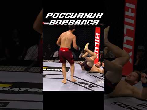 Россиянин ворвался в UFC #ufc #файтинг #mma #боец #юфс #мма #бои #нокаут #анкалаев #дагестанец #бжж