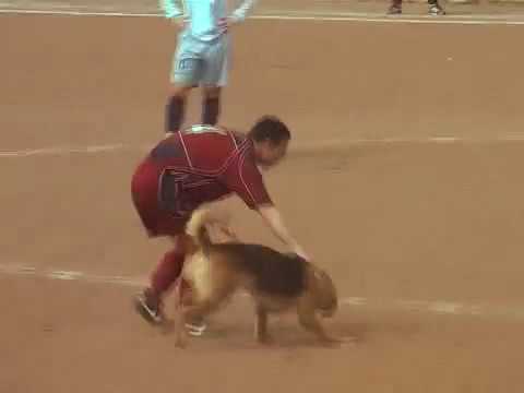 Stagione 2011/2012 - 2 cat. L - 22°giornata | Città di Aprilia - Doganella 5-1