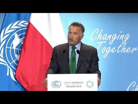 שוורצנגר תקף את טראמפ ביידיש: "מנהיג משוגע"