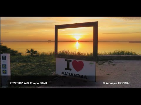 20220306 MG Compo 306 3