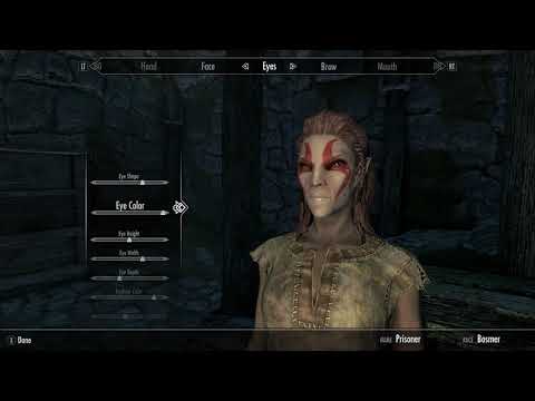 Female Wood Elf Character Customization: The Wood Elf from the Loading Screen!