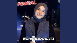 Download lagu Pingal mp3