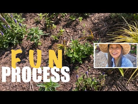 What Stays & What Goes🌿 Identifying Wanted From Unwanted Baby Plants (5/20)