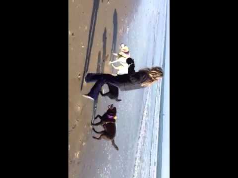 henry chester elvis at bacara on beach apr 2012.MOV