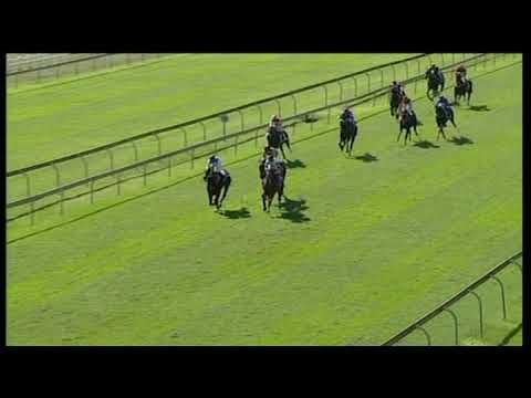 20190515 Scottsville Barrier trial 10 won by ULTRA MAGNUS