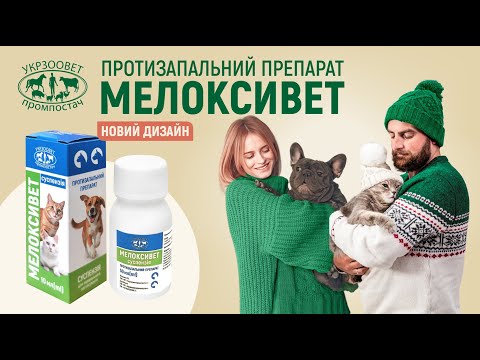 Відео превʼю