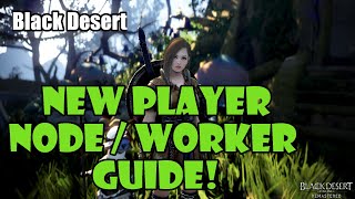 Black Desert New Player Node and Worker Guide  AFK