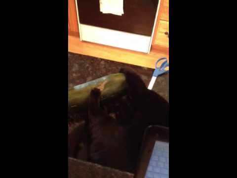 Checking for freshness