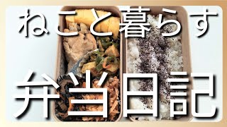 ねこと暮らす前日作り置き弁当日記です