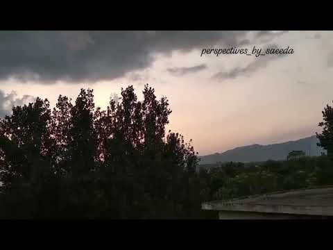 @perspectives_by_saeeda