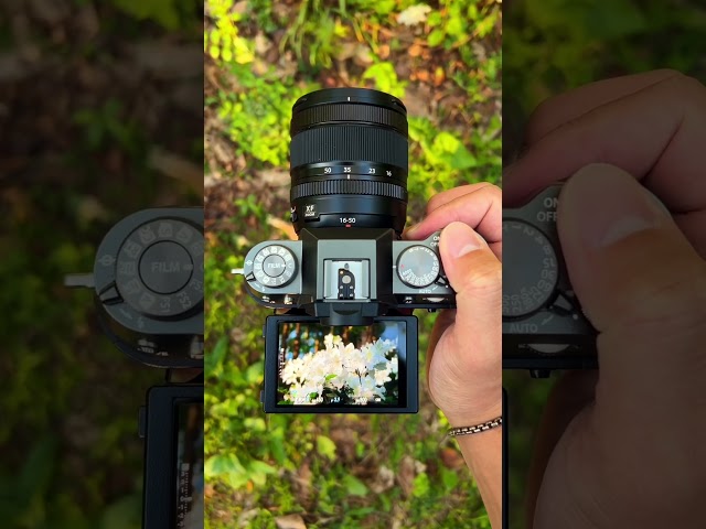 Vídeo relacionado con JJC Funda blanda elástica de neopreno sin espejo para cámaras réflex digitales Canon EOS M50 M5 Fuji Fujifilm X-E4 X-S10 X-T30 X-T20 X-T10 X-A3 X-A2 X-M1 Sony a7C DSLR ultra ligera