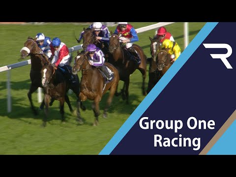 2019 Qipco Champion Stakes - Racing TV