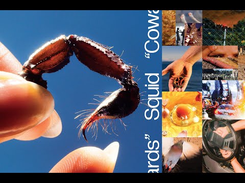 Squid and Warp Records