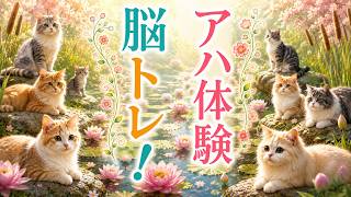 【脳トレ習慣で認知機能アップ】毎朝の脳活で健康習慣を！